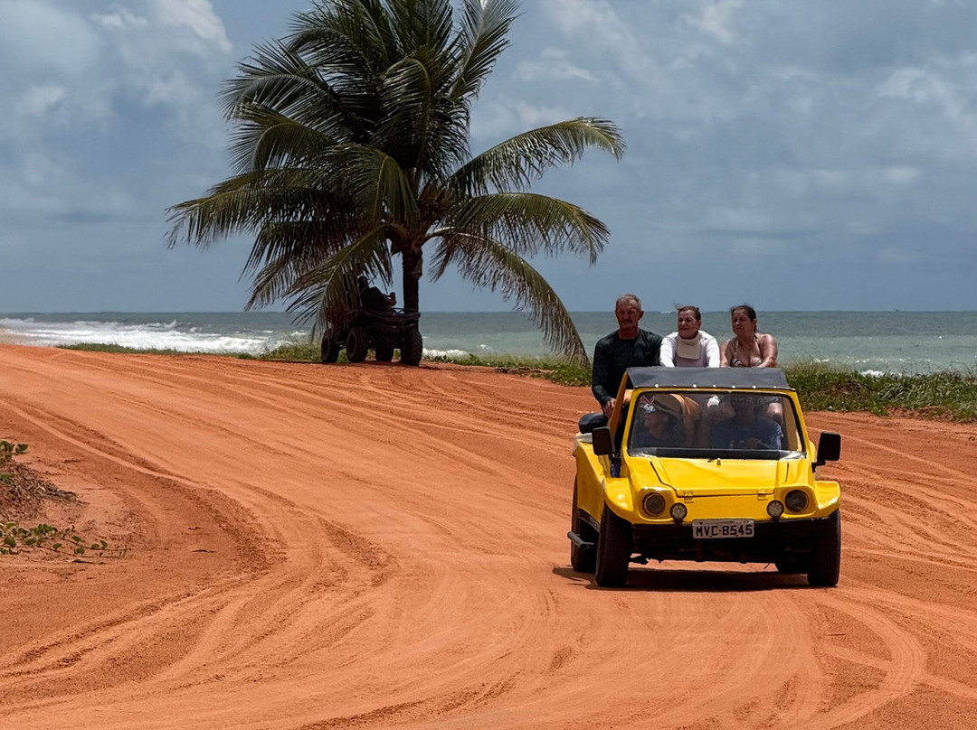 Aventura Eco Brasil-Barra de Sao Miguel必去景点