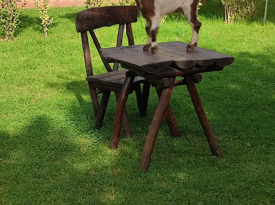 Ouirgane Ecolodge主图