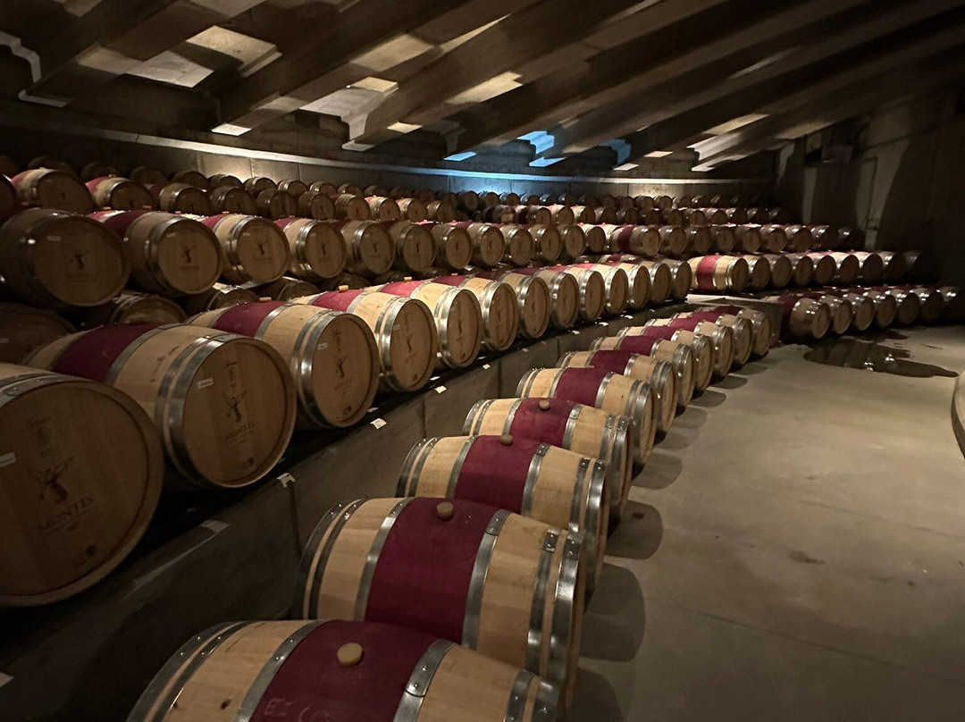 Vina Montes-圣克鲁斯必去景点