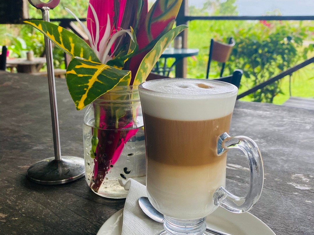 Tanna Coffee-维拉港必去景点