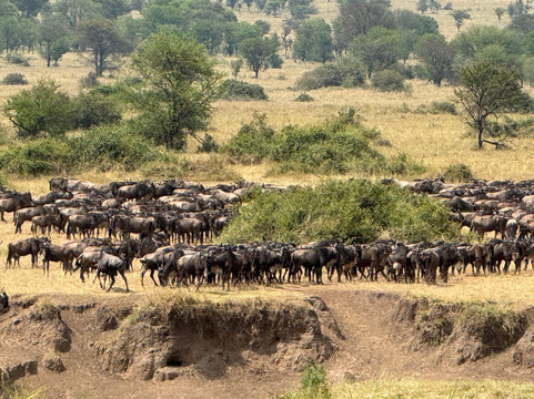 Augustine's Adventure Africa-阿鲁沙必去景点