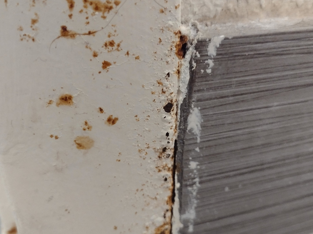 New Hope Inn & Suites主图