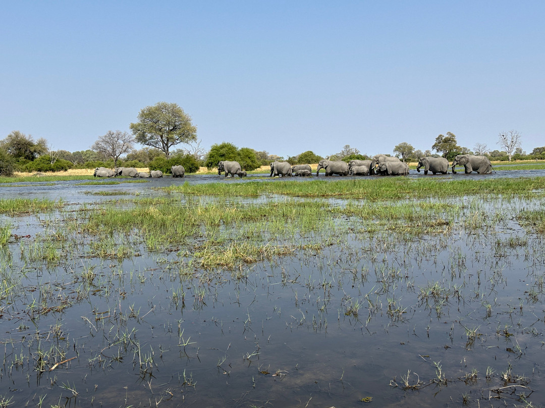Shipungo Safari & Tours-马翁必去景点