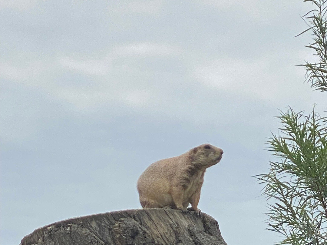 Northumberland Zoo-莫佩思必去景点