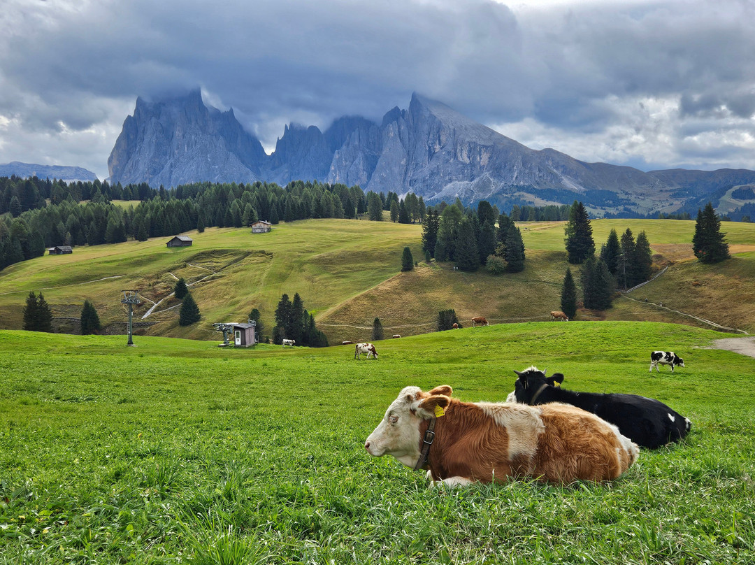 Seiser Alm - Alpe di Siusi-Alpe di Siusi必去景点