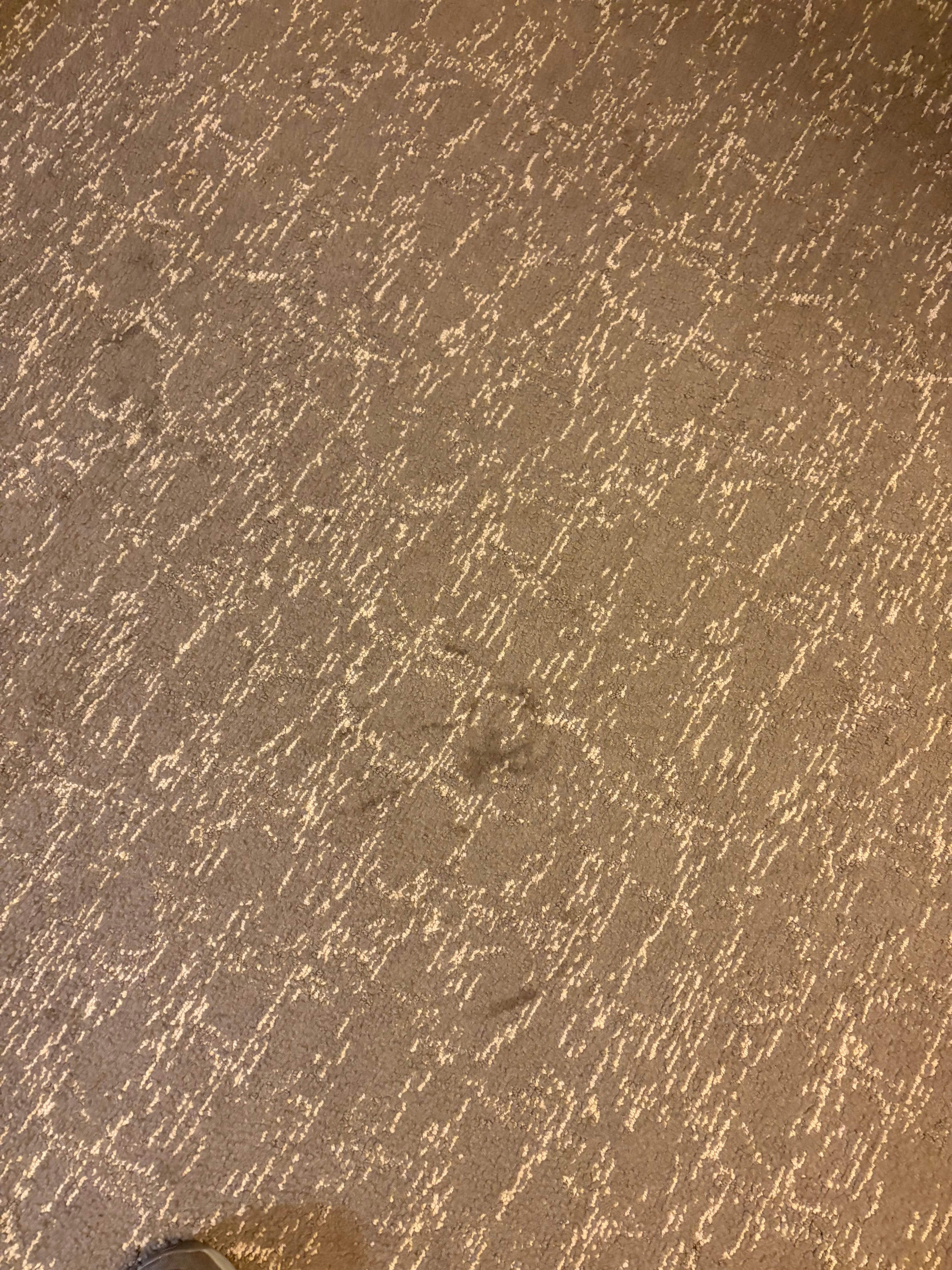 北阿纳汉姆希尔顿合博套房酒店-客卧