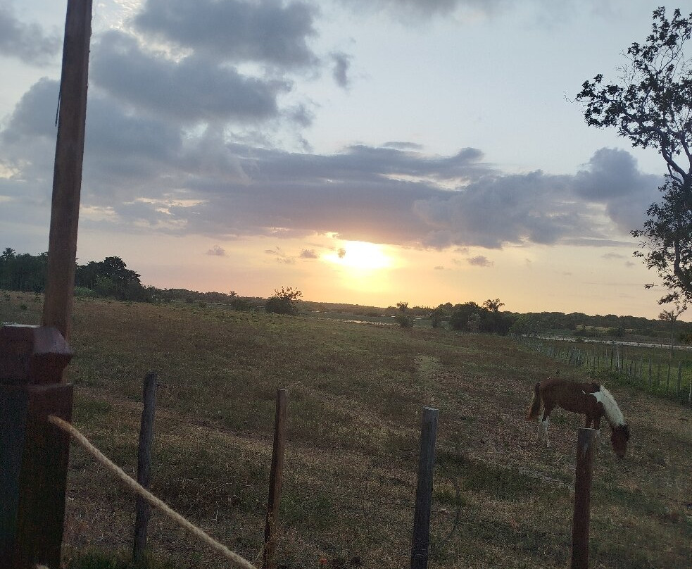 Marajó Eco'Tur Receptivo e Passeios Turísticos-Soure必去景点