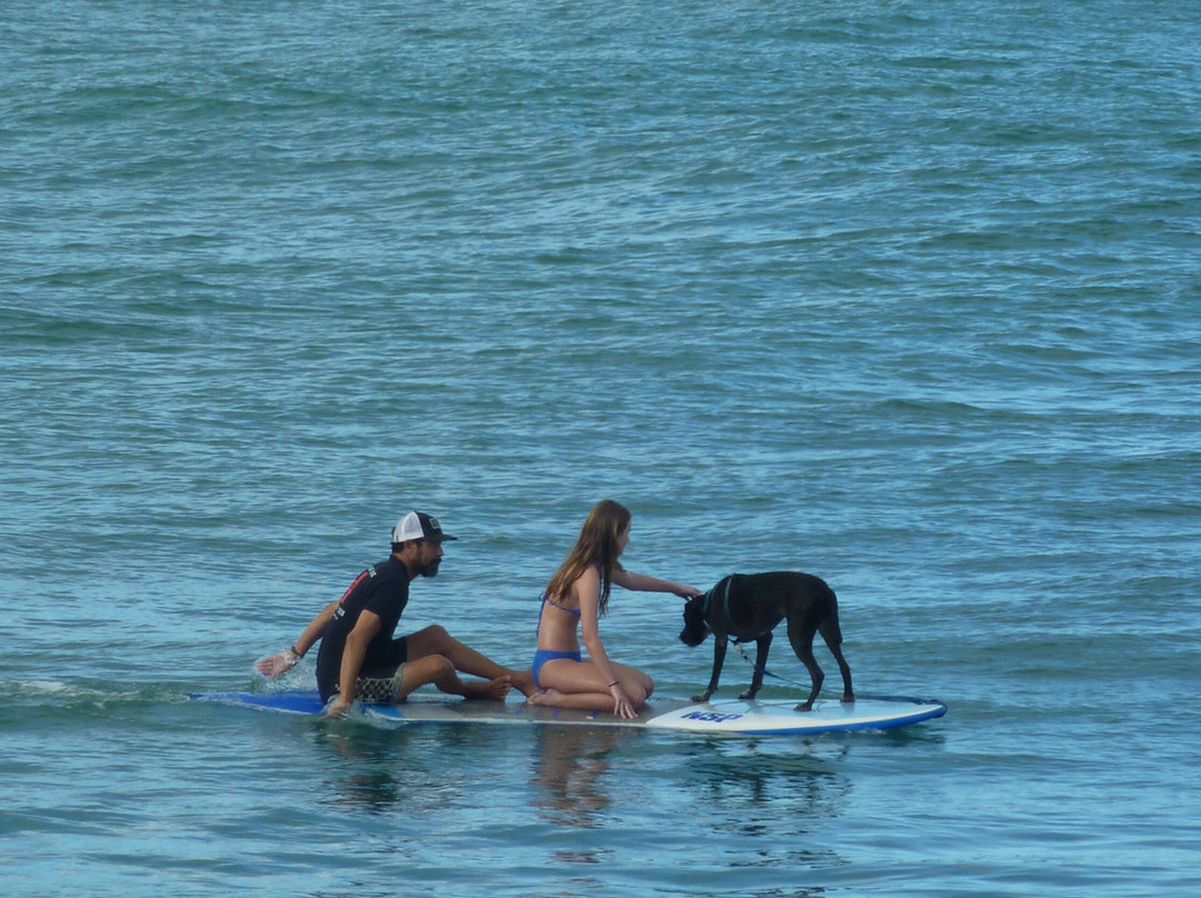 N.S.O.G. North Shore Ocean Guides-卡胡库必去景点