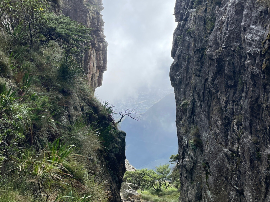 Platteklip Gorge-桌山国家公园必去景点
