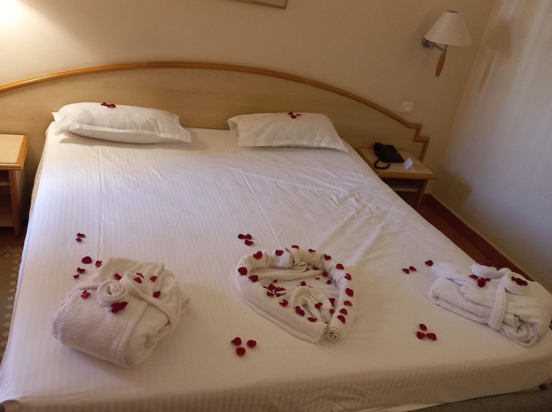 伊波罗之星贝利塞尔酒店主图