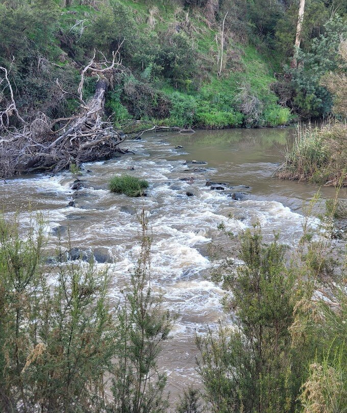 Westerfolds park-Templestowe必去景点