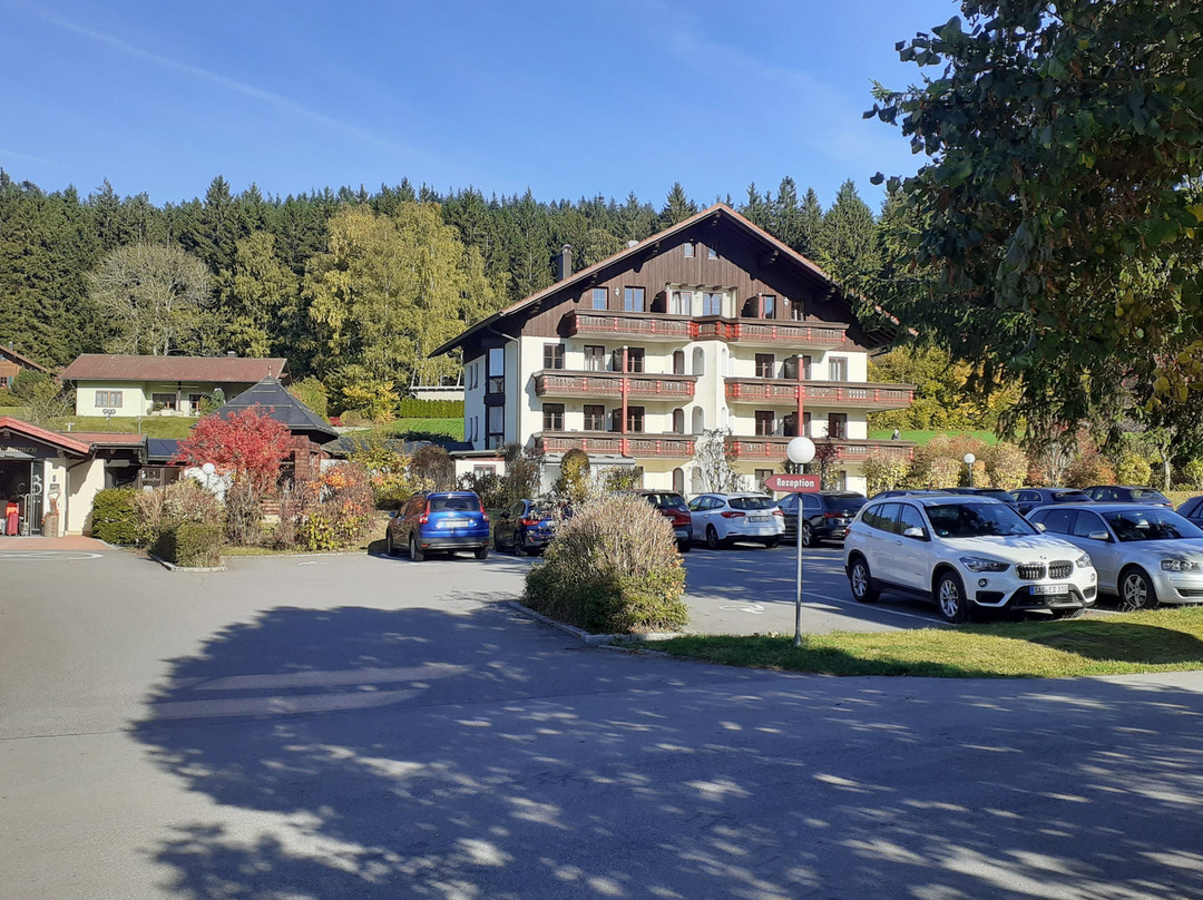 Böhmhof Wellness Und Vitalhotel主图