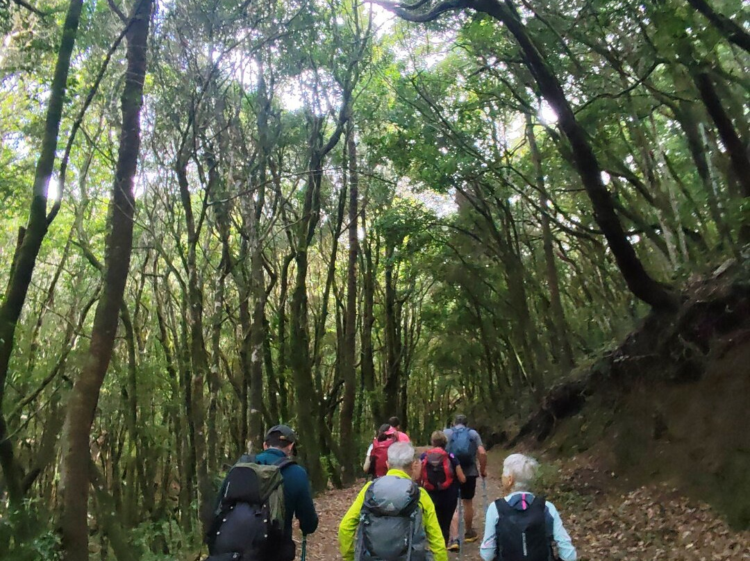 Canarias Nature Guides-Tegueste必去景点
