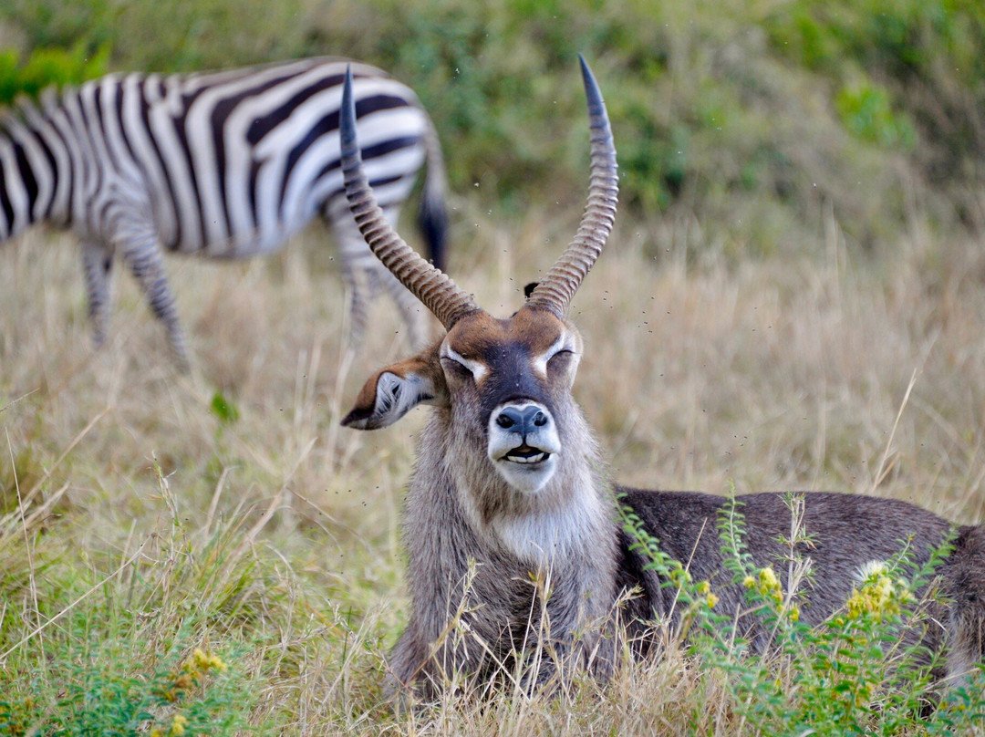 Earthlife Expeditions-阿鲁沙必去景点