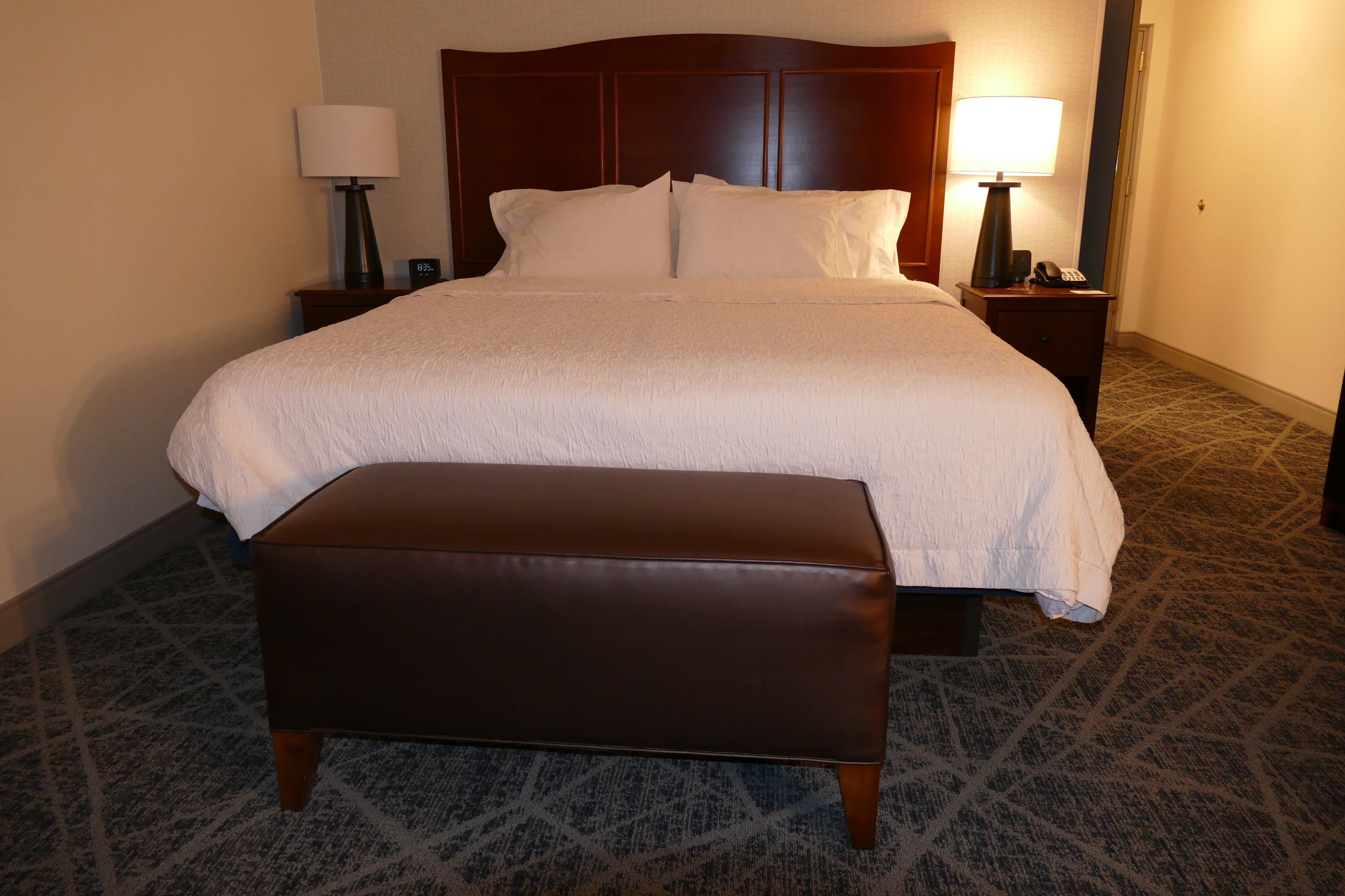 埃尔迈拉/荷尔斯海兹希尔顿恒庭酒店-客卧