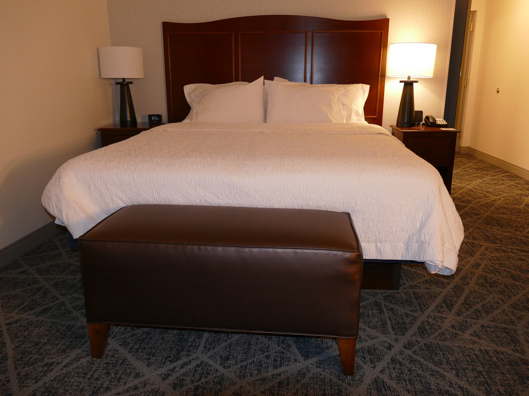 埃尔迈拉/荷尔斯海兹希尔顿恒庭酒店主图