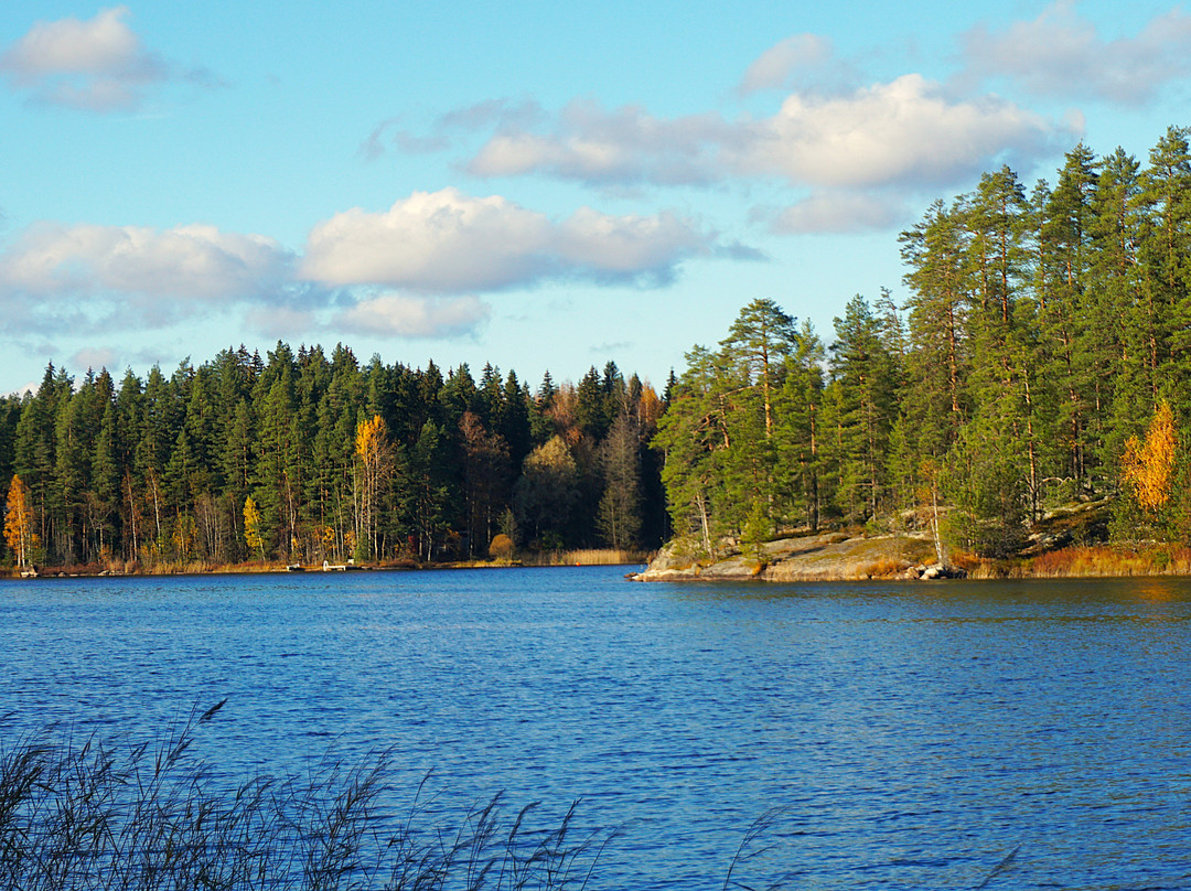 Kalmusaari