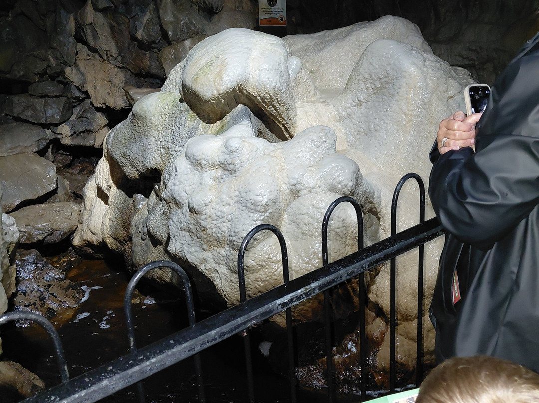 Poole's Cavern & Buxton Country Park-巴克斯顿必去景点