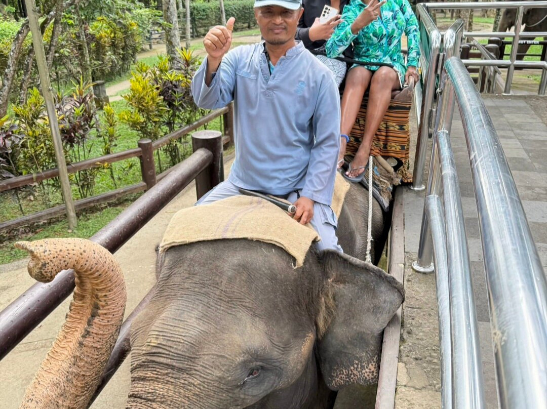 Bali Customized Tours-Batubulan必去景点