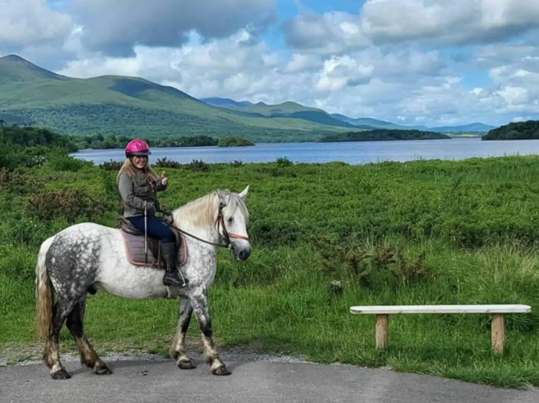 Killarney Riding Stables-基拉尼必去景点