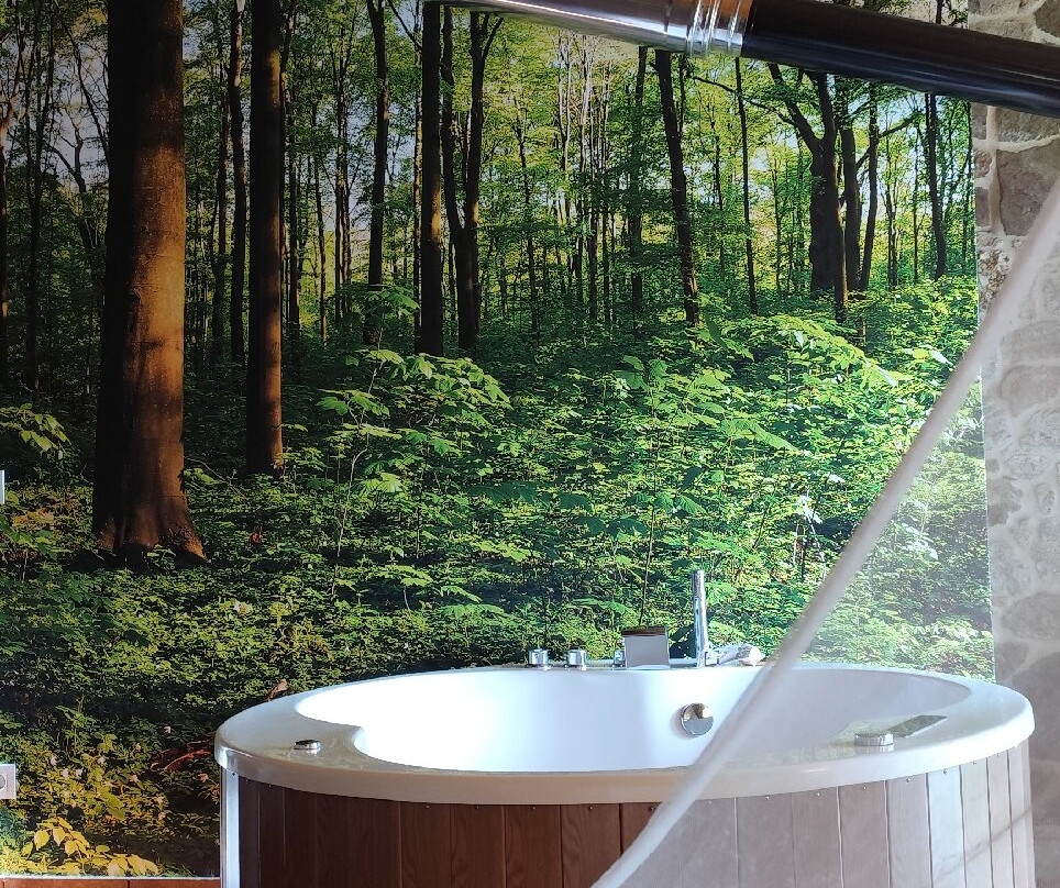 Remanso De Trasfontao Casa Das Arbores & Bubble主图