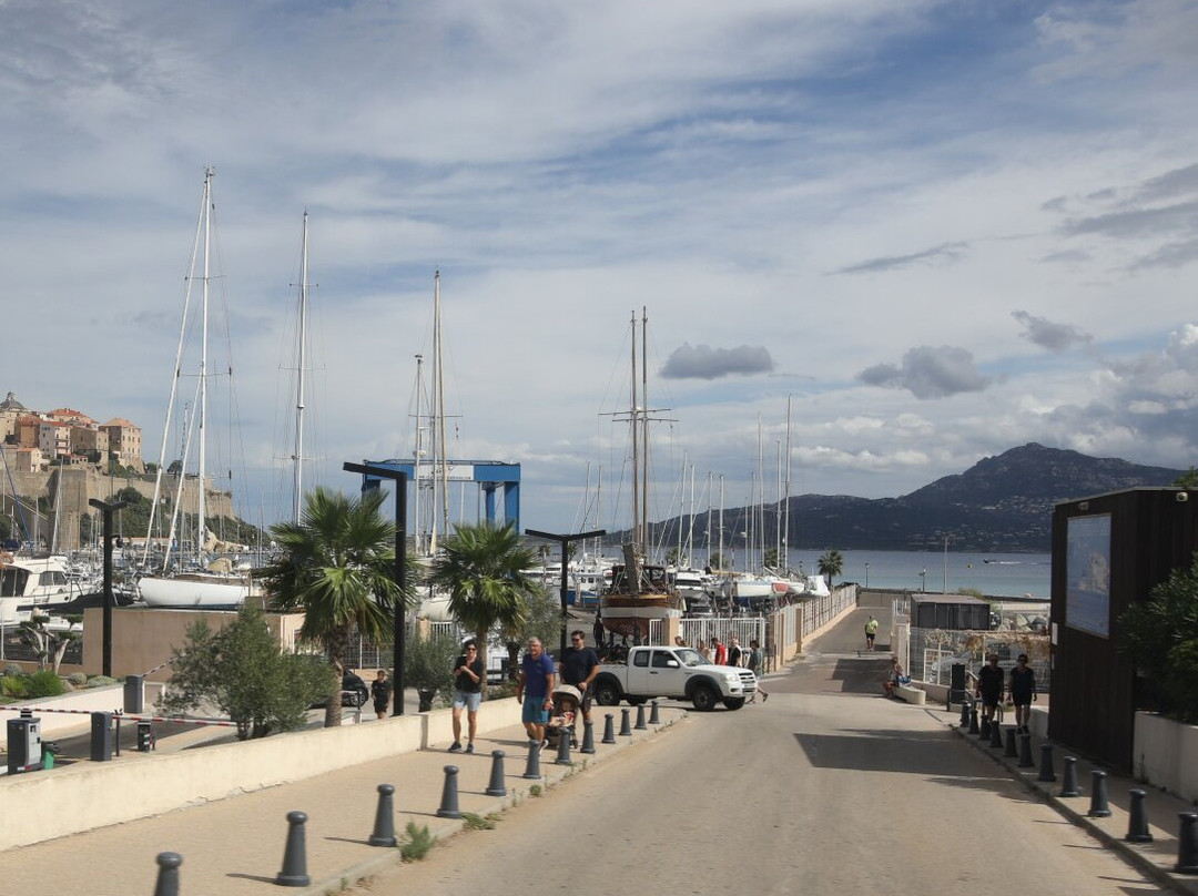 Port de Plaisance-卡尔维必去景点