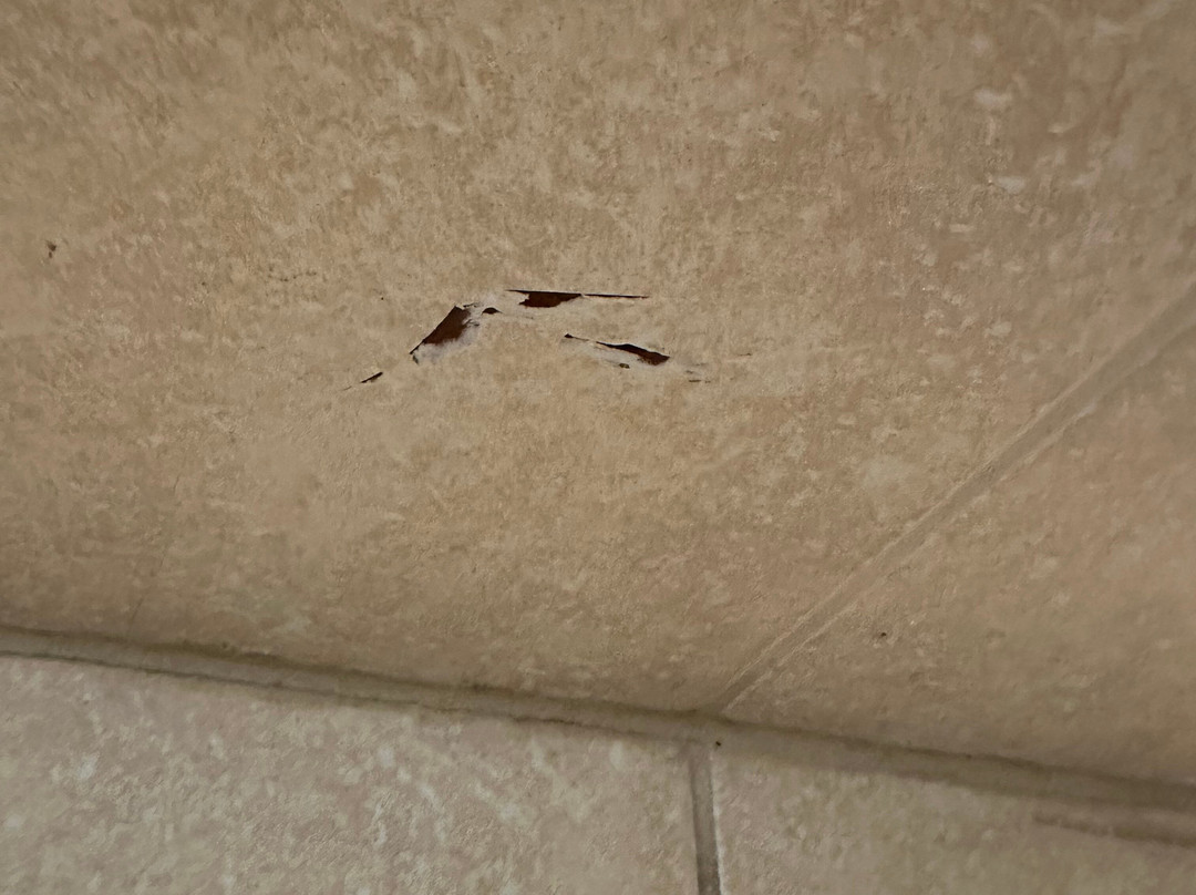 埃芬汉希尔顿花园旅馆主图