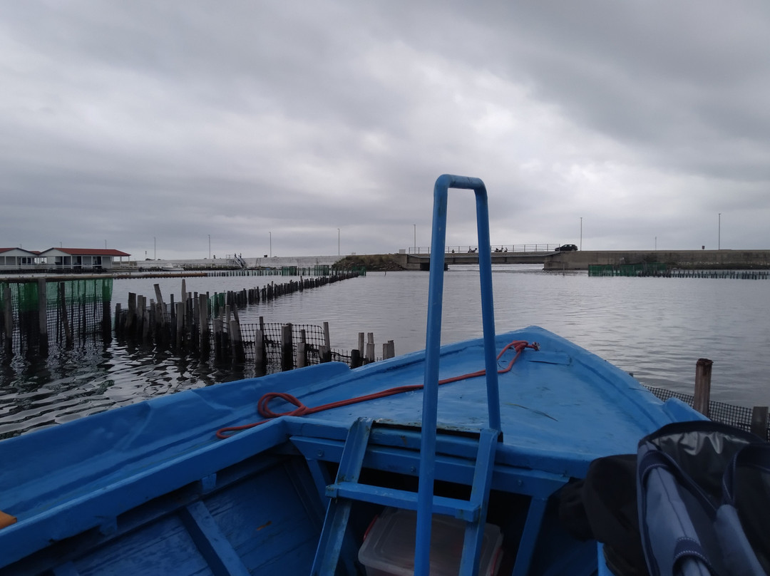 Messolonghi by Locals-Mesolongion必去景点