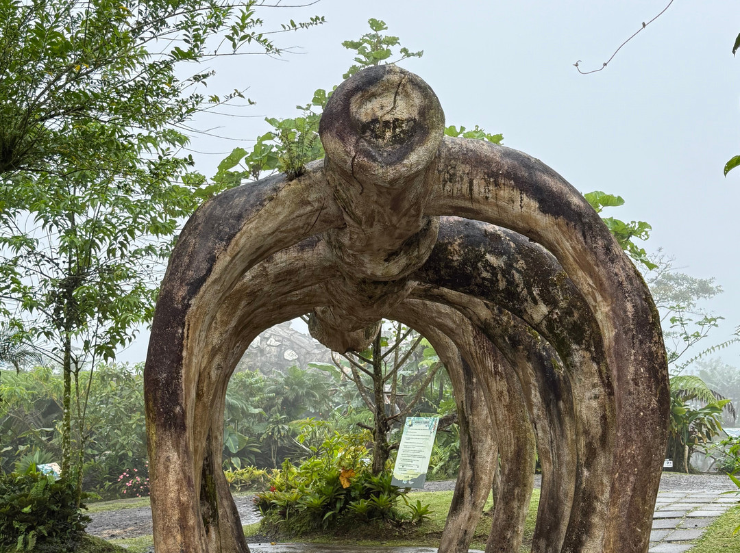 Catarata Río Agrio-Bajos del Toro必去景点