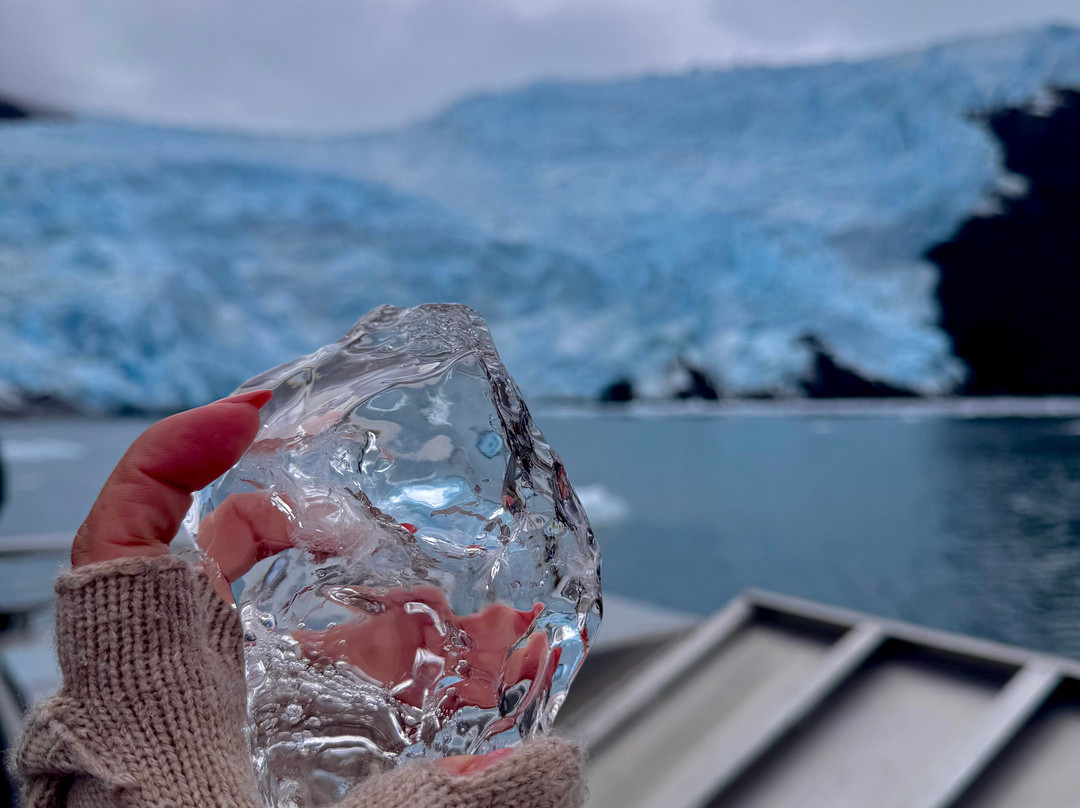 Lazy Otter Charters-惠提尔必去景点