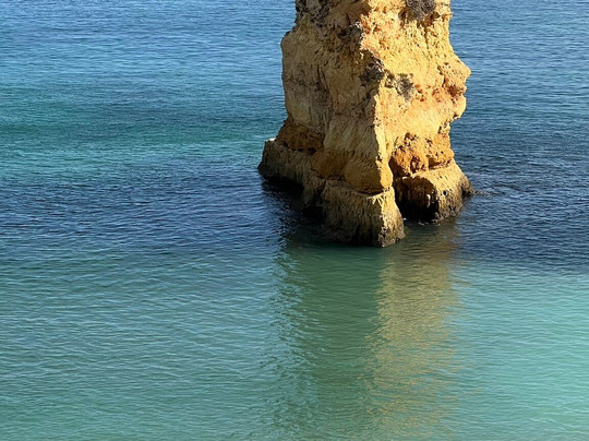 Yellowfish Transfers-法罗必去景点