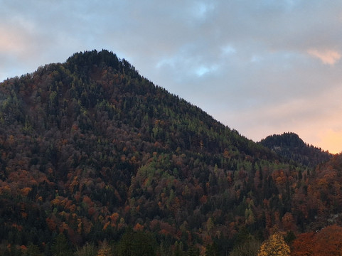 欧奈霍夫沃夫酒店主图