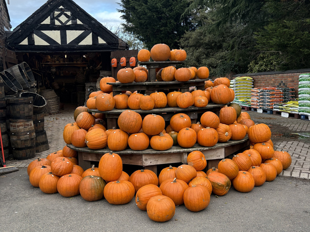 Wheelock Hall Farm-Sandbach必去景点