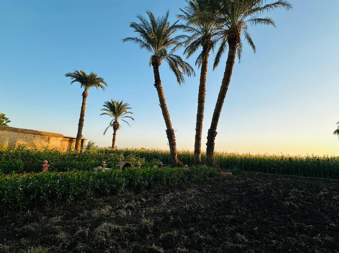 Happy Farm Restaurant & Café