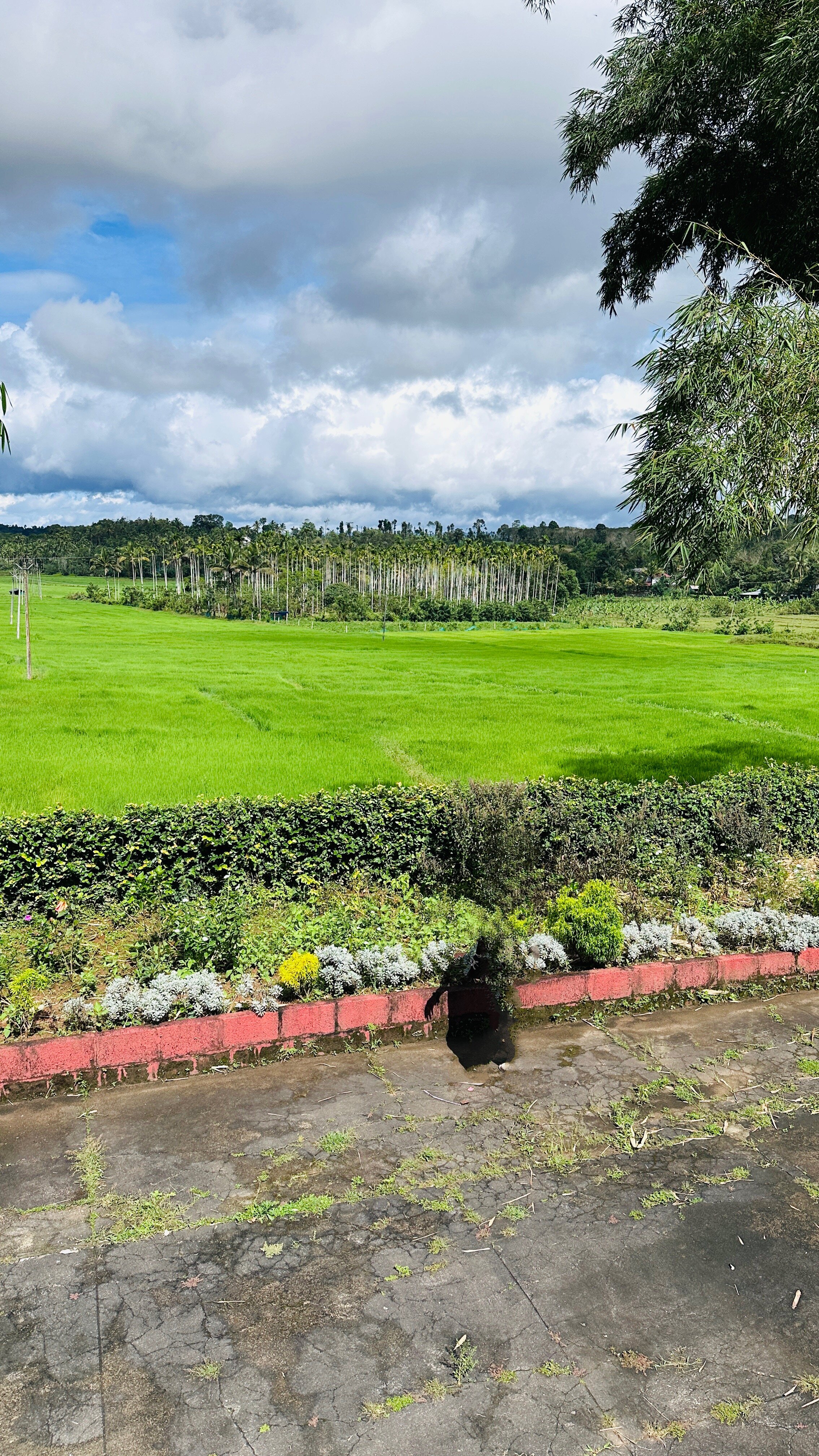 Enteveedu Homestay-酒店景观