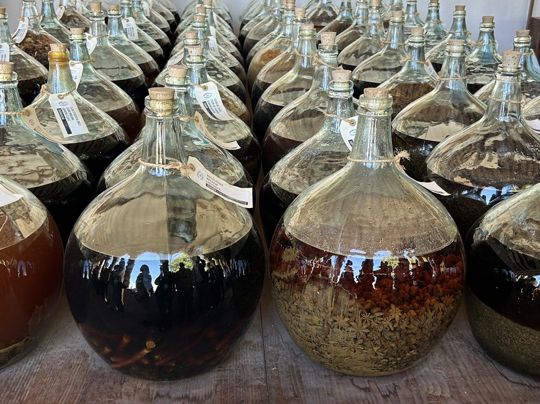 Casa Vermouth Padró-Brafim必去景点