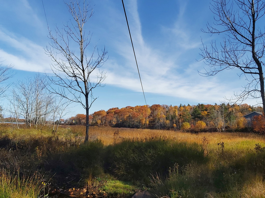 Mountain Pine Adventures-布雷顿角岛必去景点