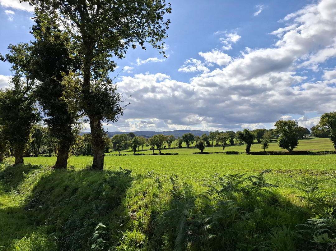 Le Circuit du Moustoir-Chateauneuf du Faou必去景点