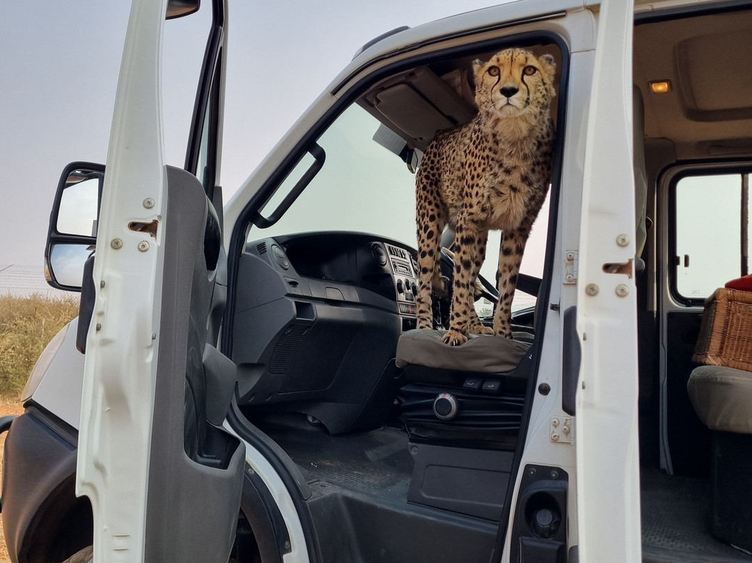 Mopane Viaggi-温德和克必去景点