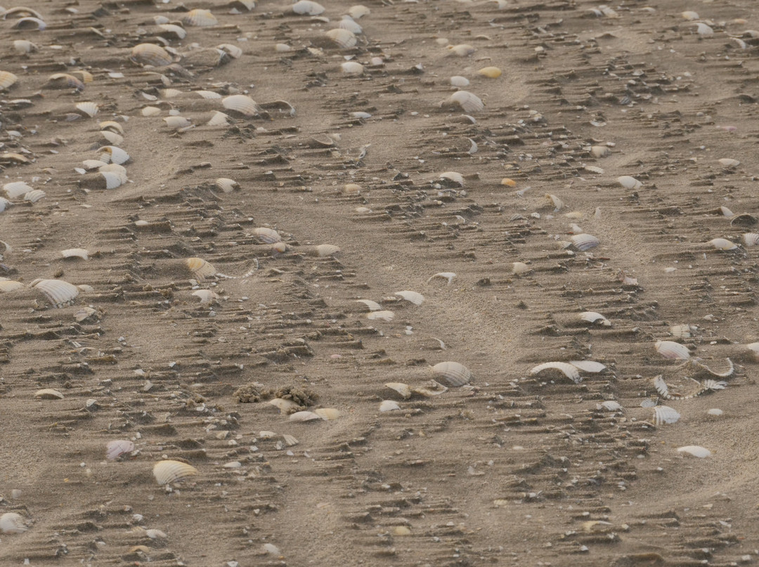 Maxim Guide Baie de Somme-Boismont必去景点