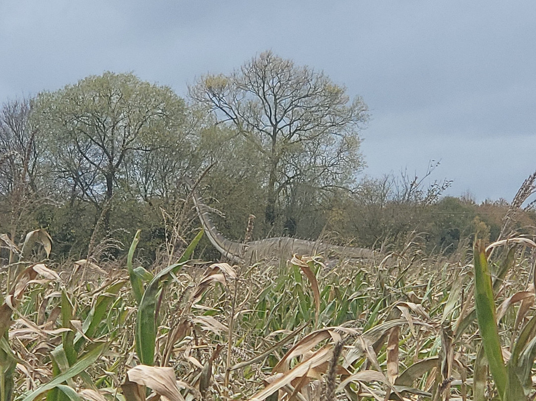 Halloween Farm-Heather必去景点