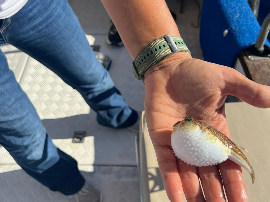 Eva Fishing-帕诺尔莫斯必去景点