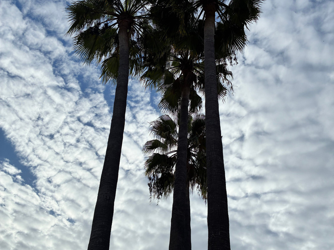 桑庞斯农庄酒店主图