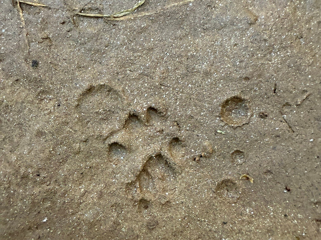 Sandy Creek Nature Center-阿森斯必去景点