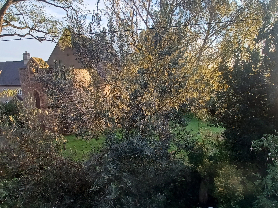 All Hallows Guesthouse主图