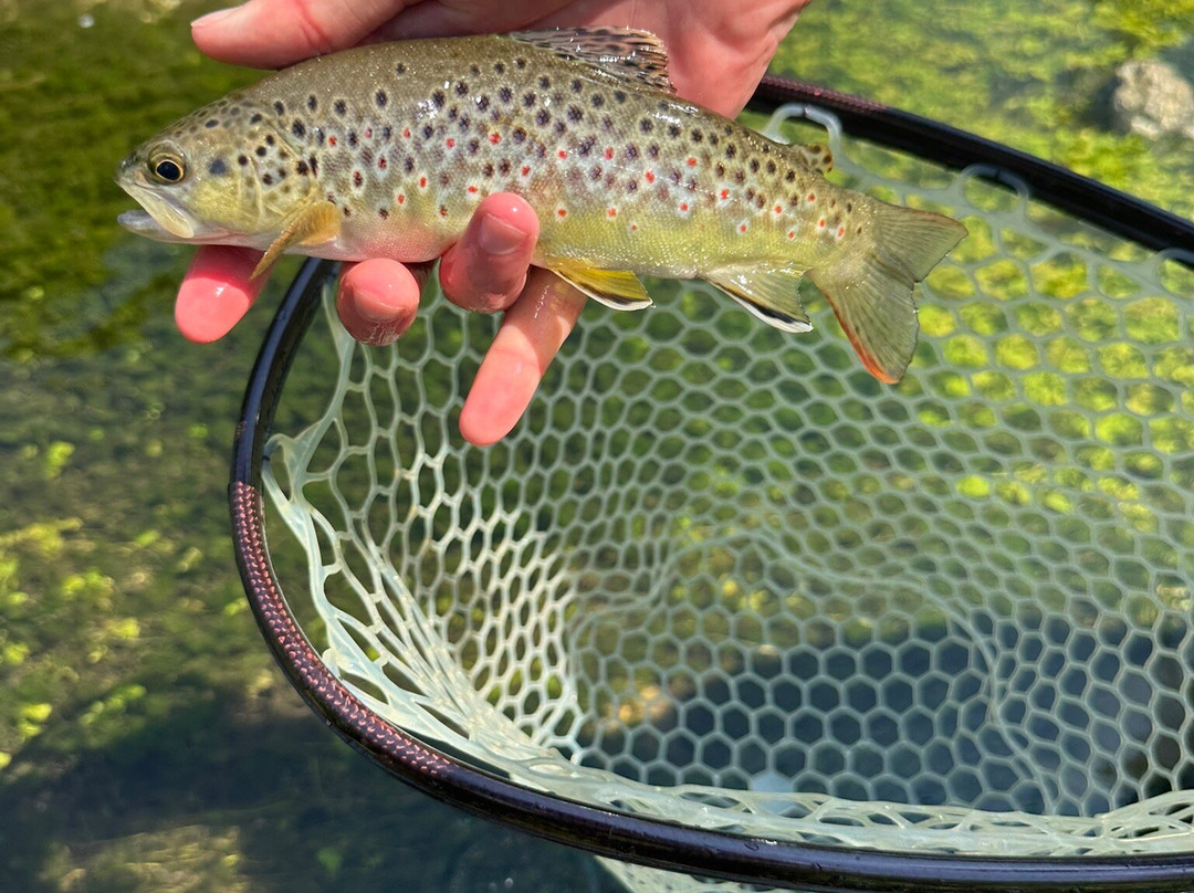 Upstream Dry Fly-Stockbridge必去景点