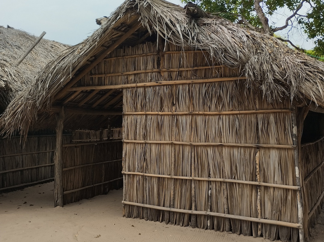 Cenario Nativo Expedicoes-Mateiros必去景点