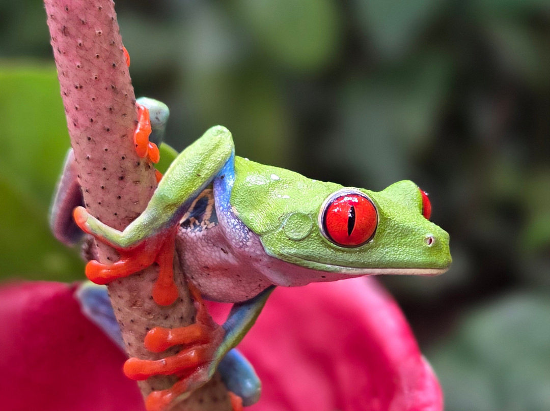 Matt's Fishing & Tours-萨迪纳尔必去景点