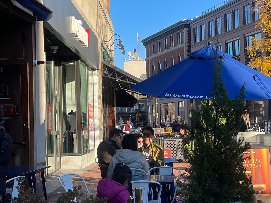 哈佛广场-剑桥必去景点