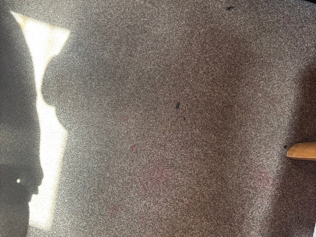 Papakura Motor Lodge & Motel主图